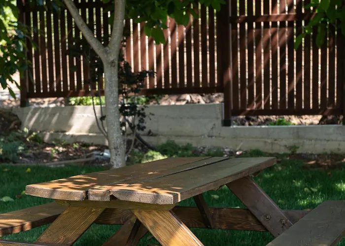 Divine Forest 里托楚伦