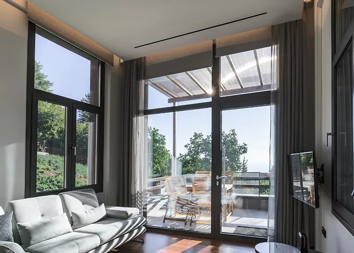 Divine Forest 里托楚伦